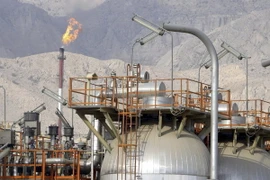 Ảnh minh họa. (Nguồn: EPA/TTXVN )