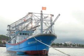 Ảnh minh họa. (Nguồn: TTXVN)