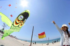 Bãi biển Cửa Đại được đánh giá là có chi phí rẻ nhất thế giới