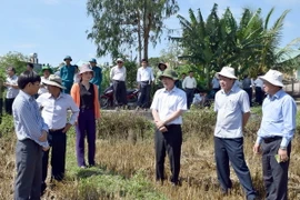 Bộ trưởng Nông nghiệp và Phát triển Nông thôn Cao Đức Phát kiểm tra tình hình hạn hán, cấp nước sinh hoạt tại huyện Sa Thầy tỉnh Kon Tum. (Ảnh: Cao Nguyên/TTXVN)