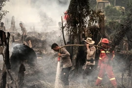  Cảnh sát và nhân viên cứu hỏa Indonesia nỗ lực dập các đám cháy rừng ở Rokan Hulu ngày 28/8. (Nguồn: EPA/TTXVN)