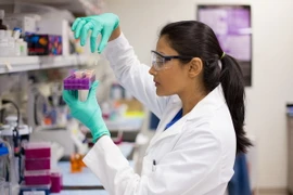 Phát hiện phân tử mới có lợi cho điều trị thiếu máu não