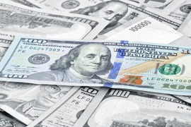 Ảnh minh họa. (Nguồn: 123rf.com)