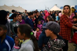 Ảnh minh họa. (Nguồn: AFP/TTXVN)