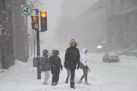 Bão tuyết hoành hành tại nhiều tỉnh bang của Canada. (Nguồn: AFP/TTXVN)