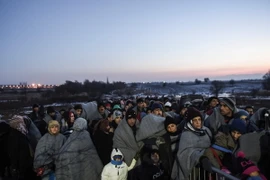 Người di cư và tị nạn đợi để vào trại tị nạn sau khi vượt qua biên giới Macedonia tới Serbia. (Nguồn: AFP/TTXVN) 