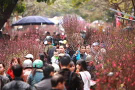 Chợ hoa Hàng Lược, Hà Nội. (Ảnh: Phạm Kiên/TTXVN) 