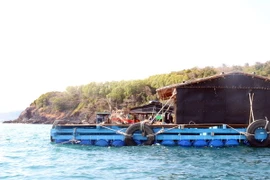 Ảnh minh họa. (Nguồn: TTXVN)