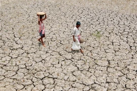 Nắng nóng ở miền Nam Ấn Độ khiến 70 người thiệt mạng