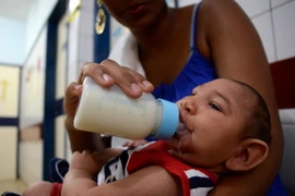 Em bé bị mắc chứng đầu nhỏ được theo dõi tại bệnh viện Oswaldo Cruz ở Cabo de Santo Agostinho thuộc Pernambuco, Brazil. (Nguồn: THX/TTXVN) 