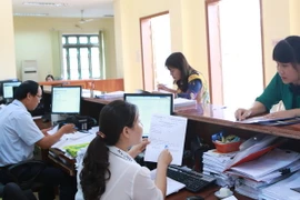 Ảnh minh họa. (Nguồn: TTXVN)