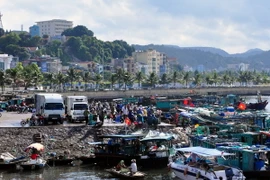 Các tàu thuyền về tránh bão tại khu vực cầu Bài Thơ, thành phố Hạ Long. (Ảnh: Nguyễn Hoàng/TTXVN) 