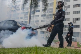 Phun thuốc diệt muỗi tại một khu dân cư ở quận Aljunied, Singapore. (Nguồn: EPA/TTXVN)