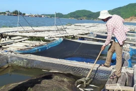 Không sử dụng hải sản sống ở tầng đáy trong vòng 20 hải lý