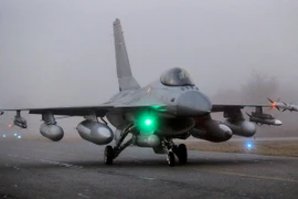 Ảnh minh họa. (Nguồn: EPA/TTXVN )