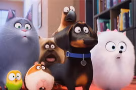 Ảnh minh họa. (Nguồn: thesecretlifeofpets.com)