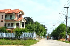 Ảnh minh họa. (Nguồn: TTXVN)