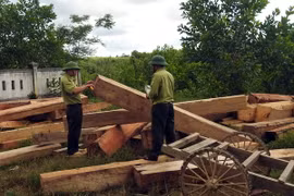 Triệu tập 3 đối tượng trong vụ truy sát cán bộ rừng Lâm Đồng