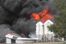 Kinh hoàng cảnh tượng cháy lớn thiêu sống 5.000 con lợn