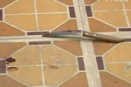Ảnh từ video. (Nguồn: TTXVN)