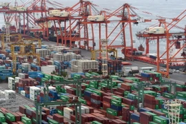 Ảnh minh họa. (Nguồn: AFP/TTXVN)