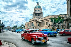 Ảnh minh họa. (Nguồn: viconsortium.com)