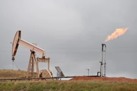 Ảnh minh họa. (Nguồn: AFP/TTXVN)