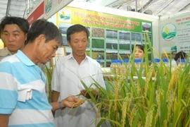 Khách tham quan gian hàng một đơn vị sản xuất lúa gạo. (Ảnh minh họa; Thanh Vũ/TTXVN)