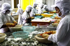 Chế biến tôm xuất khẩu. (Ảnh: Đình Huệ/TTXVN)
