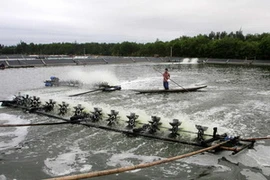 Ảnh chỉ có tính minh họa. (Ảnh: Trần Việt/TTXVN)