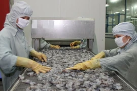 Chế biến tôm xuất khẩu tại Hậu Giang. (Ảnh: Huy Hùng/TTXVN)