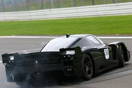 Một mẫu xe của Ferrari. (Nguồn: auto-motor-und-sport.de)