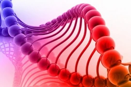 Ảnh chỉ có tính minh họa. (Nguồn: rawstory.com)