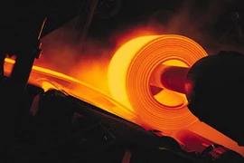 Ảnh chỉ có tính minh họa. (Nguồn: Internet)