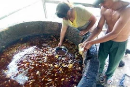 Một cơ sở tái chế dầu ăn bẩn ở Trung Quốc. (Nguồn: Internet)