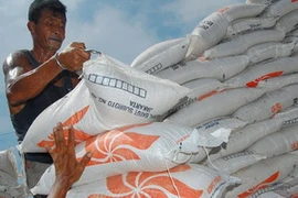 Ảnh chỉ có tính minh họa. (Nguồn: ANTARA)