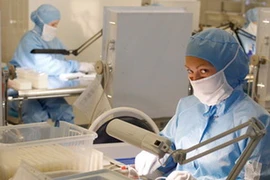 Ảnh chỉ có tính minh họa. (Nguồn: RIA Novosti)