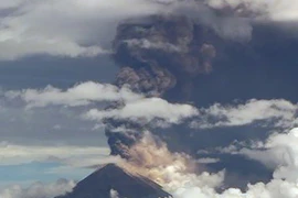 Núi lửa Ulawun phun trào vào ngày 26 tháng 6 năm 2019. (Ảnh: Volcano)