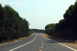 Ảnh minh họa. (Nguồn: TTXVN)