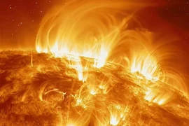 (Nguồn: Weizmann Wonder Wander)