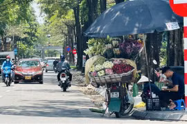 Bắc Bộ và Hà Nội sáng sớm có sương mù, trưa chiều nắng 29-32 độ C