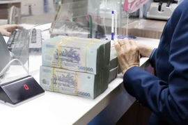 Ảnh minh họa. (Nguồn: Trần Việt/TTXVN)