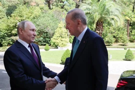 Nga và Thổ Nhĩ Kỳ đẩy mạnh hợp tác trong lĩnh vực khí đốt tự nhiên