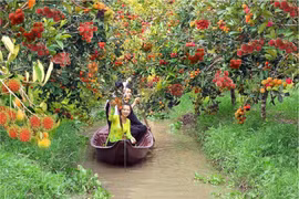 Du khách tham quan và thưởng thức trái cây tại Làng du lịch Mỹ Khánh. (Ảnh: Làng Du lịch Mỹ Khánh)