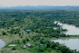 Đắk Lắk: Phát hiện cán bộ kiểm lâm tử vong trong rừng