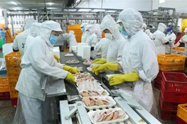 Người lao động làm việc tại Công ty TNHH San Hà, Bến Lức, Long An, Việt Nam. (Ảnh: Bùi Giang/TTXVN)