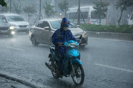Ảnh minh họa. (Nguồn: Lê Minh Sơn/Vietnam+)