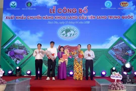 Trao chứng thư kiểm dịch thực vật cho các cơ sở đóng góp, doanh nghiệp đủ điều kiện xuất khẩu khoai lang. (Ảnh: Lê Thúy Hằng/TTXVN)