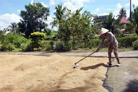 Nhiều thành phố trên cả nước có chỉ số tia UV ở mức từ cao đến rất cao