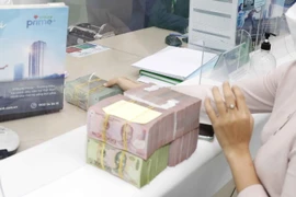 Ảnh minh họa. (Nguồn: TTXVN)